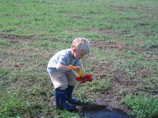 Det gjelder � arbeide raskt f�r s�lepyttene forsvinner