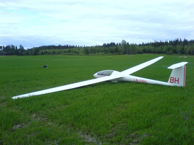 Nyskjerrig g�rdshund