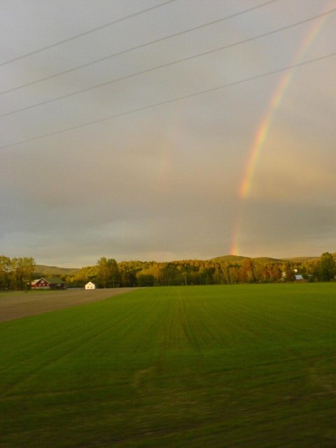 P� vei hjem fra Austmarka